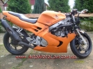 Разборка Honda CBR 600 F3 (mod. PC31) (1999)