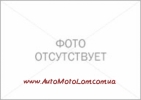 Поршень DELTA-110cc JD d52 +025